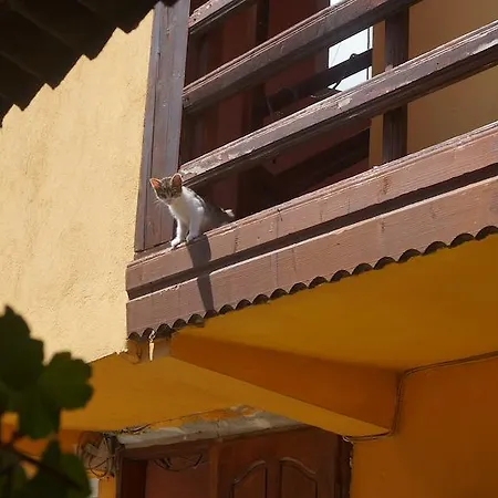 Konukevi Casa Madera Vama Veche