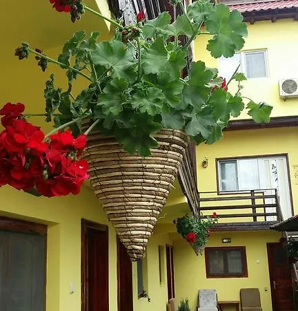 Casa Madera *