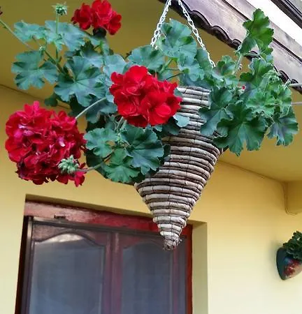 Gasthuis Casa Madera